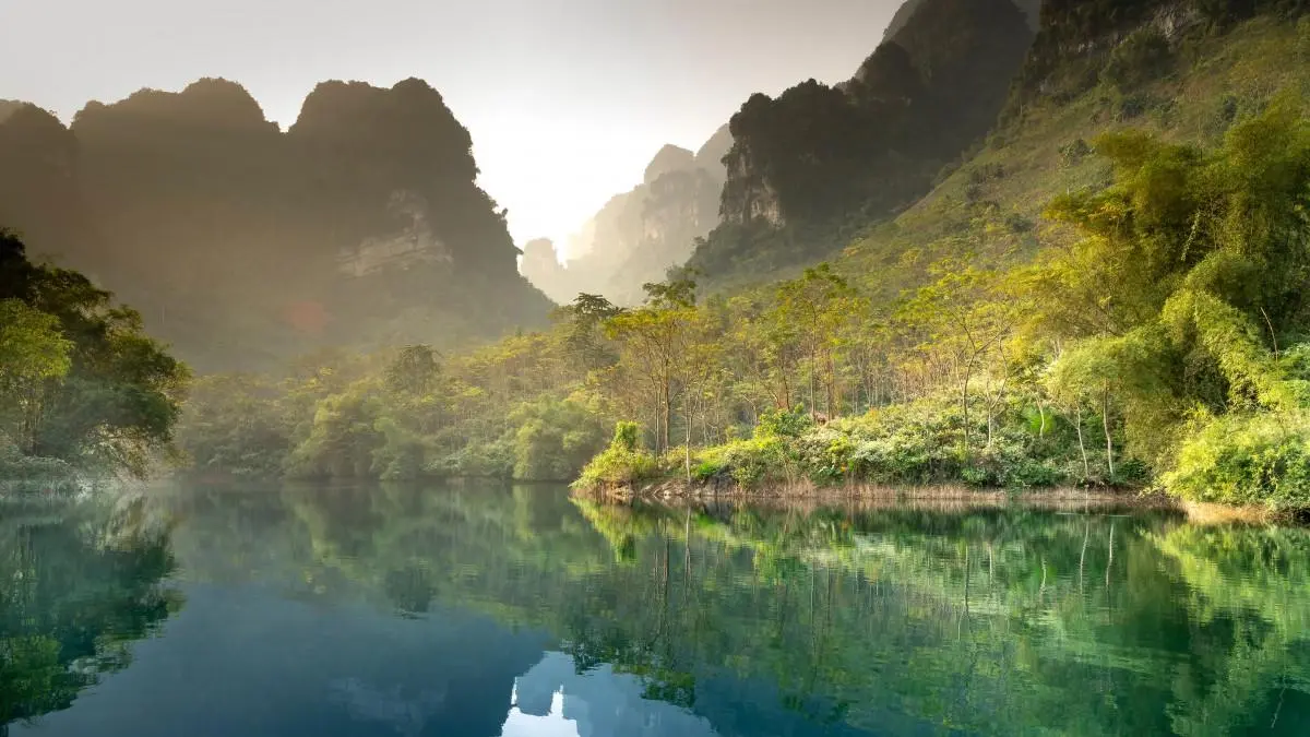 高端智能系统